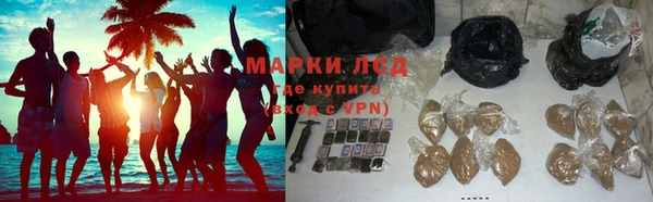 хмурый Алзамай