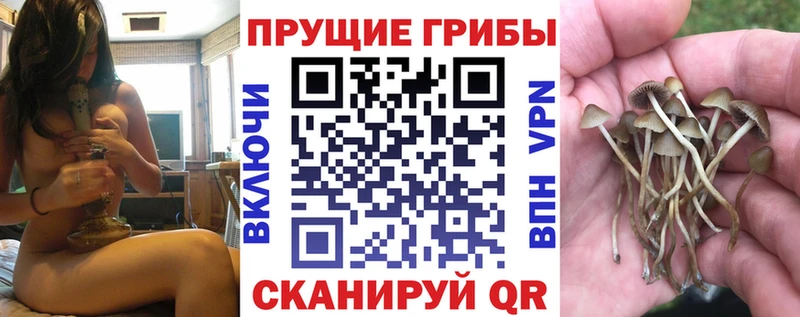 купить закладку  Дивногорск  Галлюциногенные грибы мухоморы 